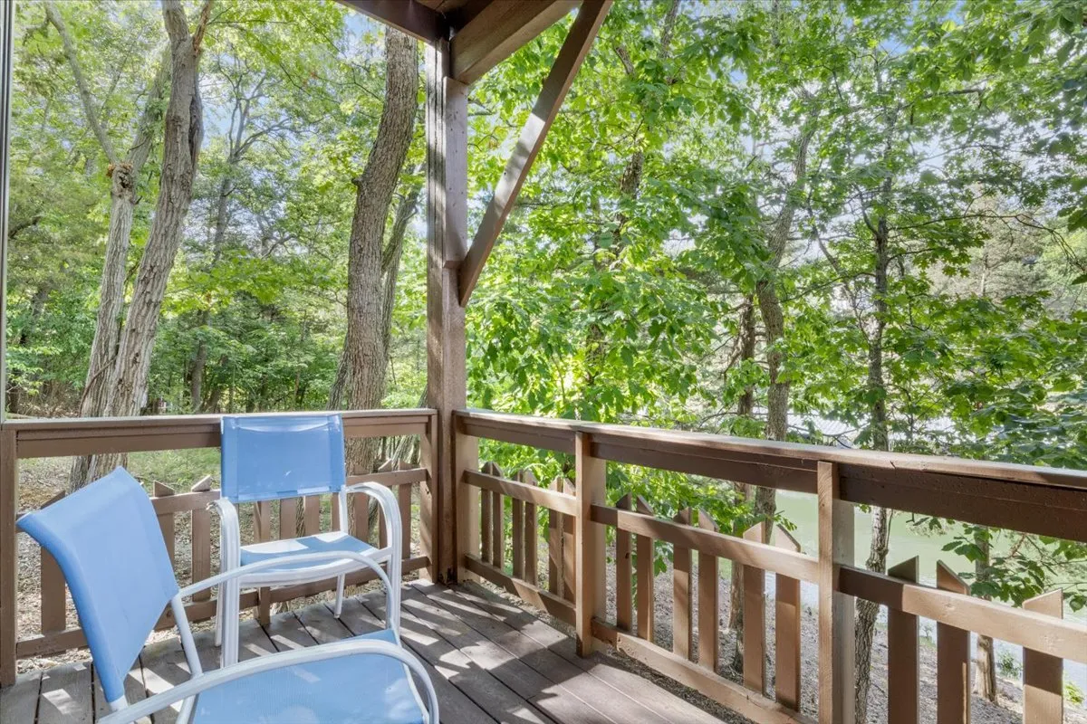 A serene exterior scene with blue chairs arranged on a wooden deck, bordered by a railing and surrounded by lush foliage. The tranquil setup suggests a setting for wildlife watching, late-night stargazing, or unwinding after a day of exploration.